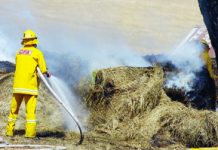 Blazing birdie burns bales Firefighters worked for hours to ensure a hay bale fire did not spread last Thursday.