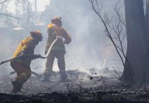 Suspicion over fires