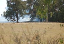 Slasher spark blamed for blaze