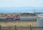 cardyfire_95454_20.jpg