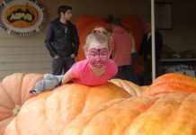 Nostalgic end to racecourse Show