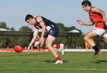 Scorpions can still sting