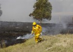 bypassfire_96485_60.jpg