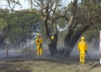 fire_96498_23.jpg
