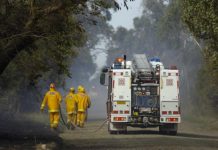 Officer fires suspicious: CFA