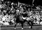 halloffame_99035_02.jpg