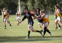 Wickers suffer under Spurs assault