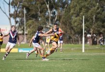 Stingrays trounce Dragons