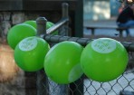 emgonski_101737_06.jpg