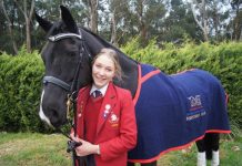 First in, best dressaged