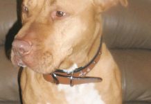 World watches Rocket