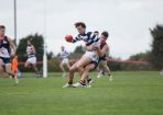 VFLcascoll_103505_27.jpg