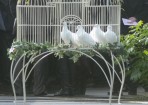 doves_103963_01.jpg