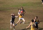 EFLBalNob_106364_148.jpg