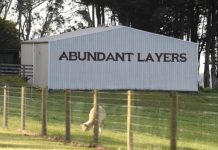 Abundant Layers– sign of a divided council