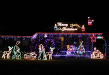 Festive obsession switches on