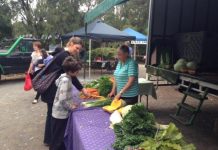 Success grows for fresh food market
