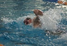 Top five TigerSharks