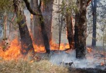 Ready for last resort