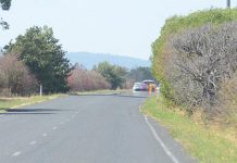 Child is sole survivor