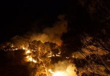 Hunt on for arsonists