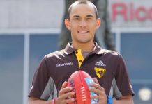 Injured Hawk takes flight