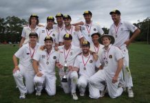 Tigers’ tail sinks Vikings