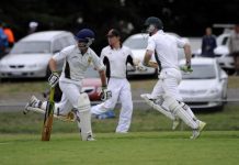 Bullants’ treat is dead meat