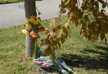 Investigation rules out foul play