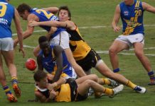 Stingrays get bogged down