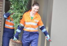 Police swoop on ‘grow’ house
