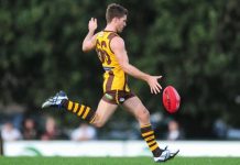 Reaching the dizzy heights