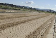 Superior to anything