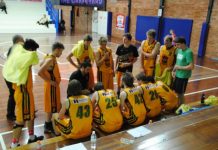 Roberts basking in the Suns