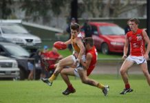 Stingrays put out the lights