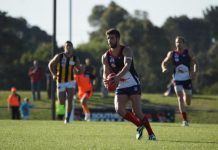 Scorpions outta luck