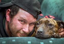 Bella back after 20 months