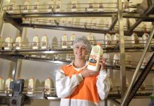 Gippy offers spring bonus