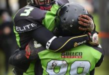 Door slightly ajar… and Silverbacks get in