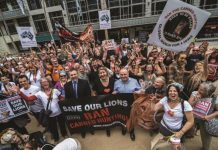 Ban to stop horrific hunt