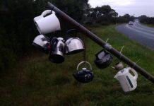 Lang Lang steamed up