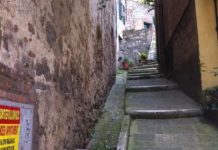 Cruising through life