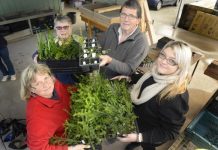 Aiming for biodiversity