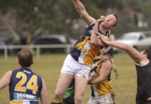 Big birds… bigger battle