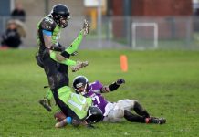 Silverbacks… all miracles and fairy tales