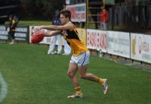 Scorpions look for bounce