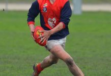 Shorey wants a big scalp