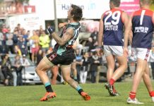 Cobras reach the summit