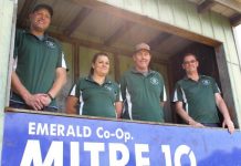 Clarke reignites the Brookers