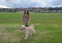 Off-leash fencing plea